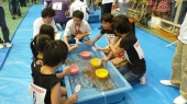 金魚すくい　大和郡山市大会