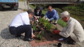 岡崎川遊歩道花壇の衣替え